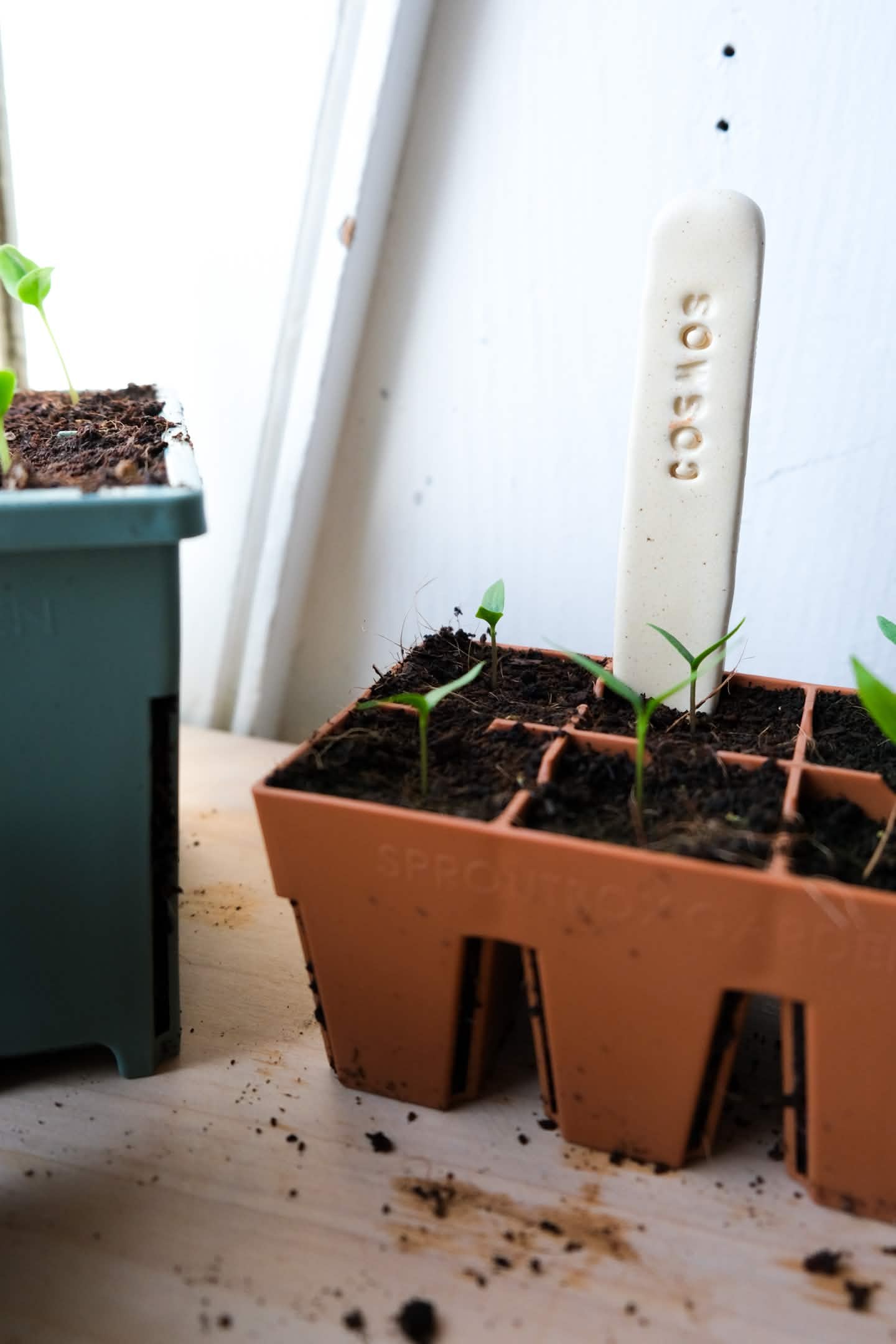 Create Your Own Ceramic Plant Tags