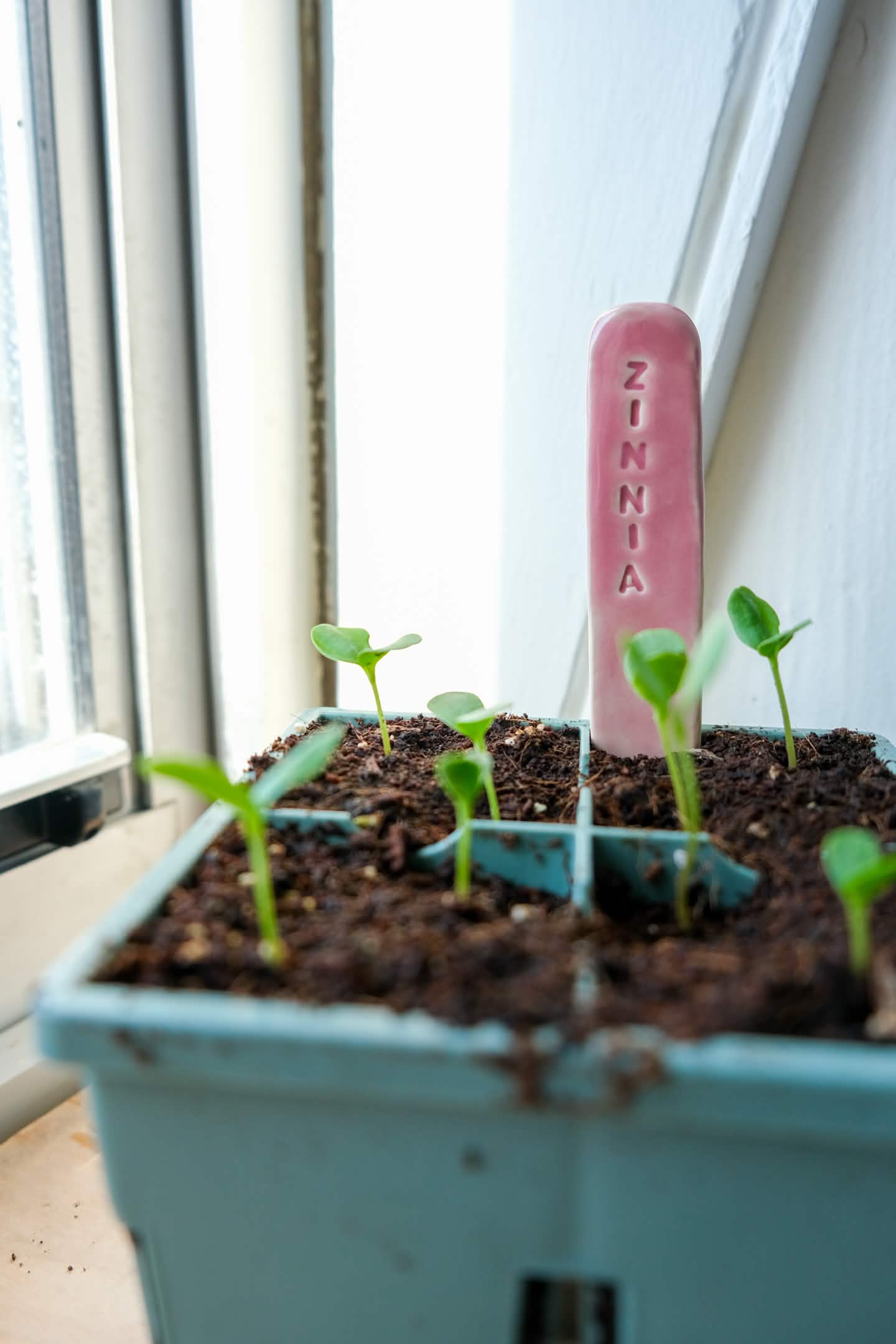 Create Your Own Ceramic Plant Tags